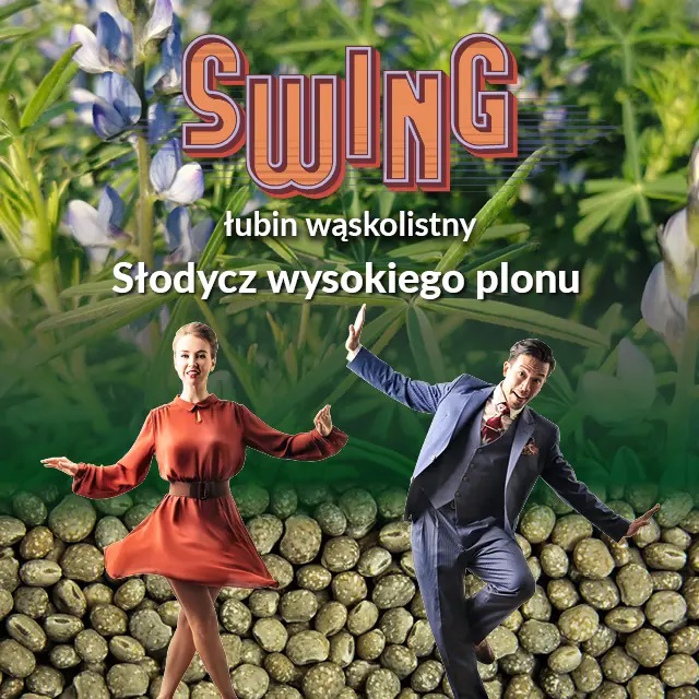 produkt zdjęcie